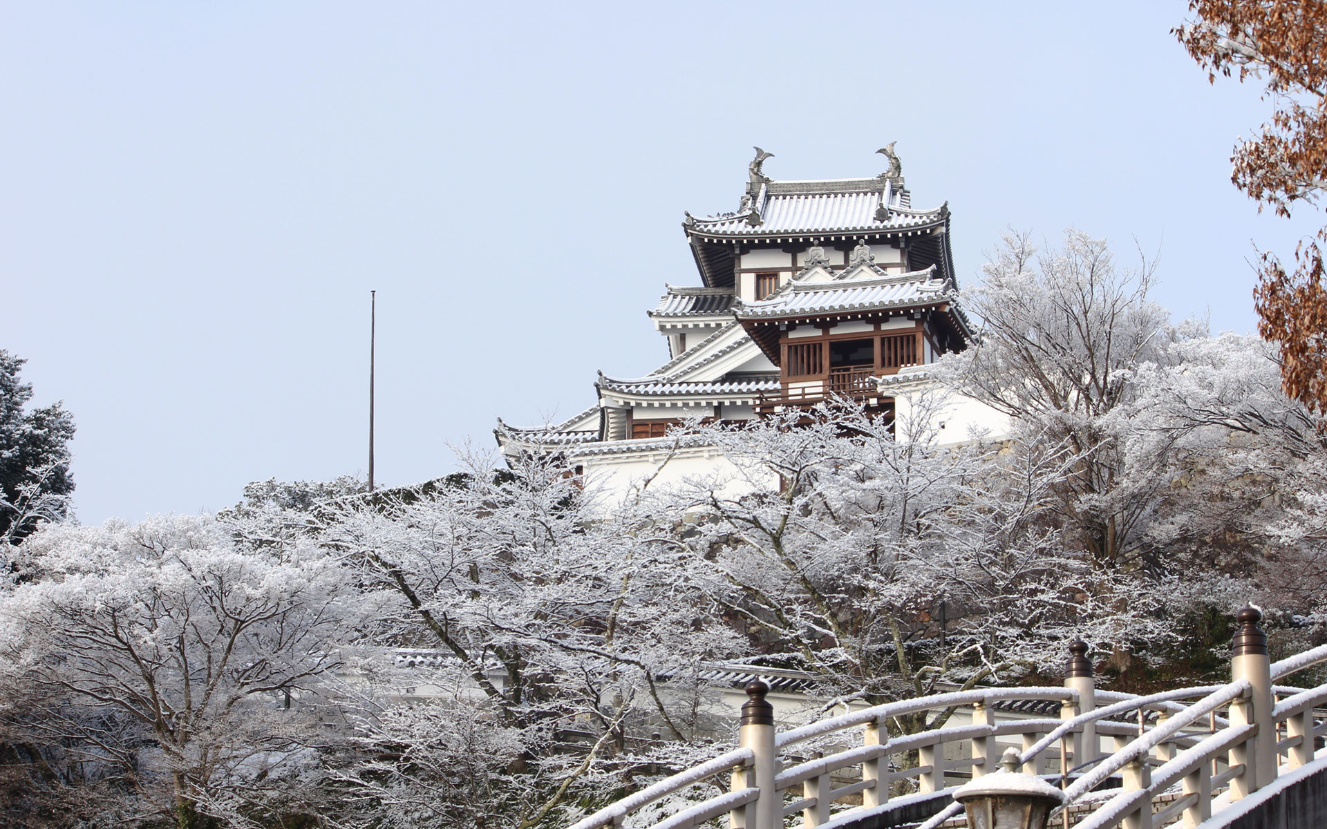 冬の福知山城
